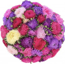 Seasonal bouquet - Asters